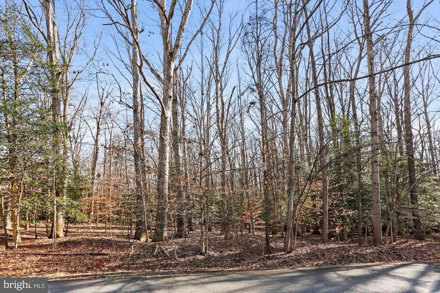 Property Photo: 11121 Elmview Place VA 22066