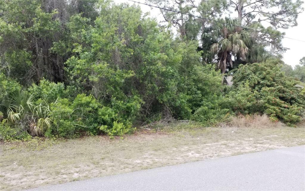 Property Photo:  Lot 24 Kenvil Drive  FL 34288 