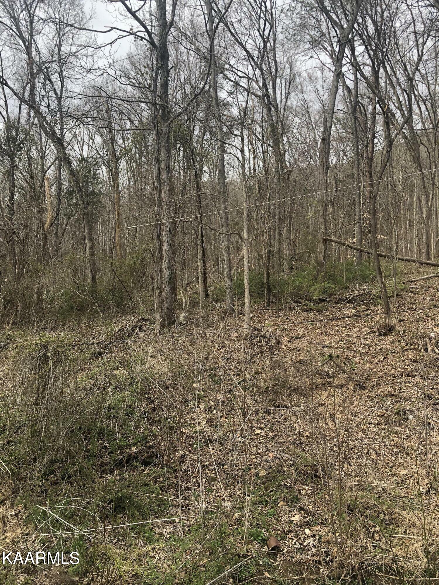 Property Photo:  Tbd E Jim Town Rd  TN 37779 