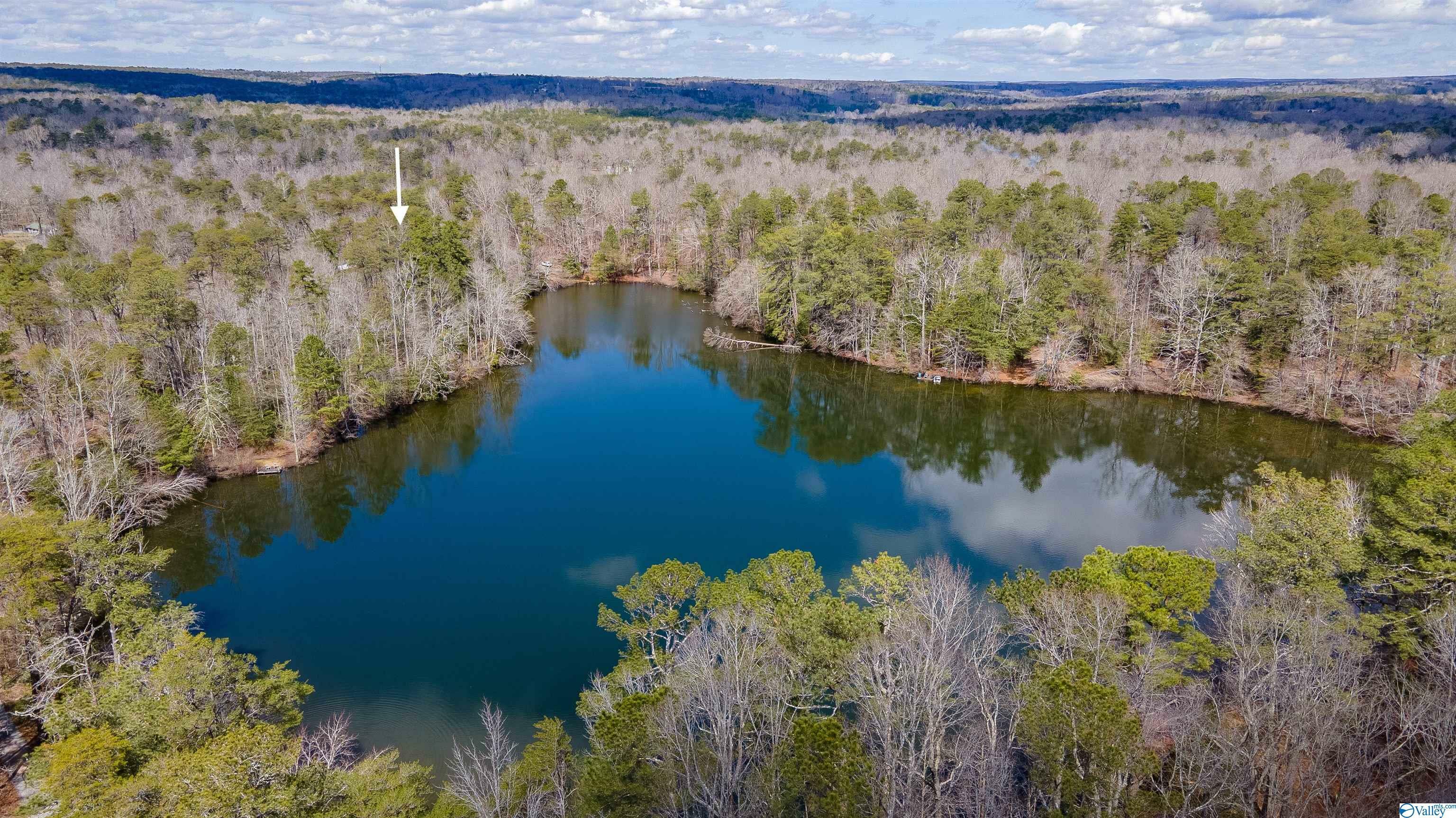 Property Photo:  338 Moon Lake Road  AL 35984 