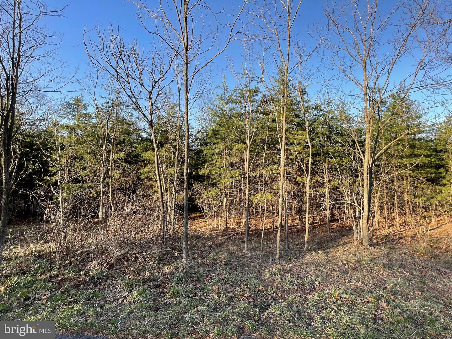 Property Photo:  692 Woods Edge Road  WV 26719 