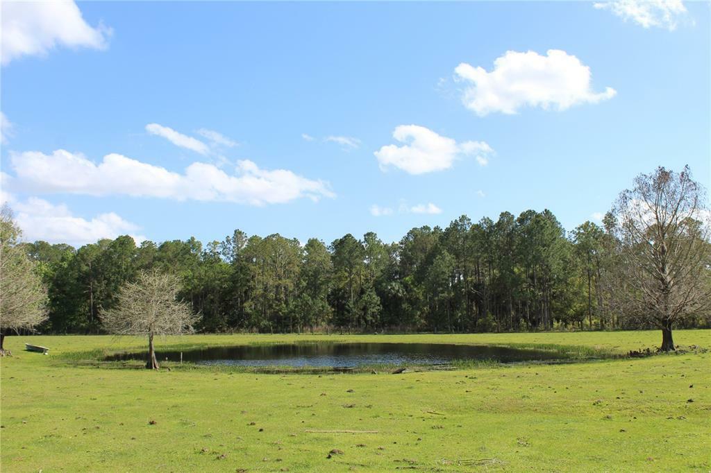 Property Photo:  1235 Lakeview Drive  FL 32720 