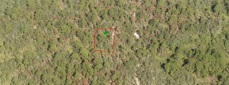 Property Photo:  97 N Quiet Pines Point  FL 34429 