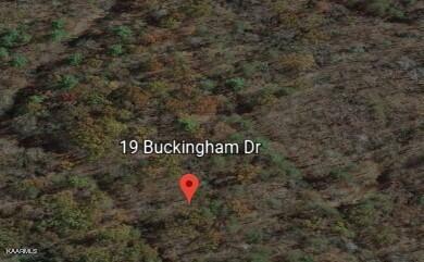 Property Photo: 19 Buckingham Court TN 38558