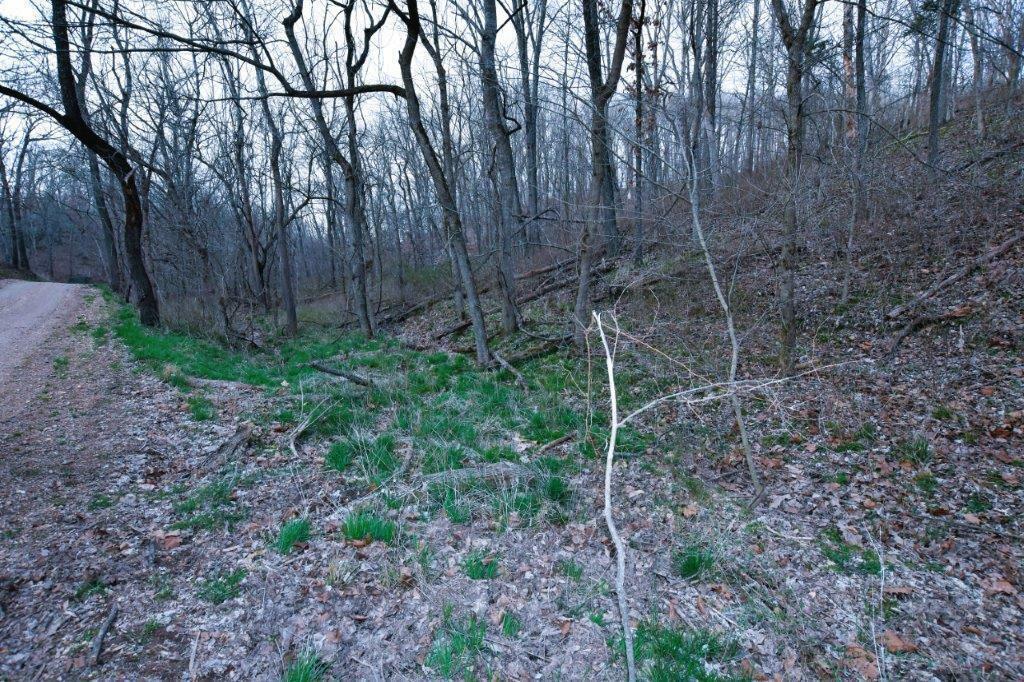 Property Photo:  000 Grannys Branch Road  MO 64856 