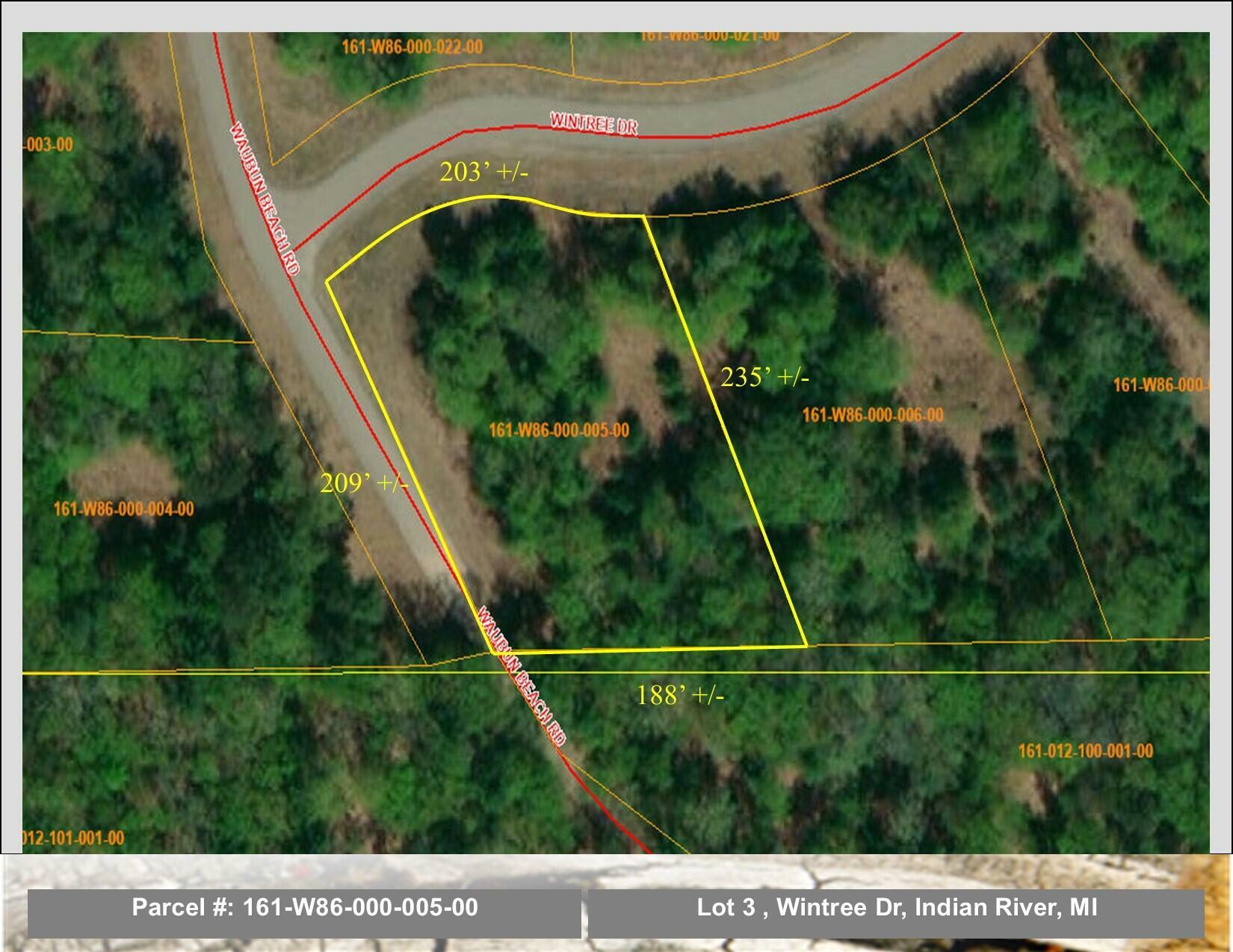 Lot 3 Wintree Dr  Indian River MI 49749 photo