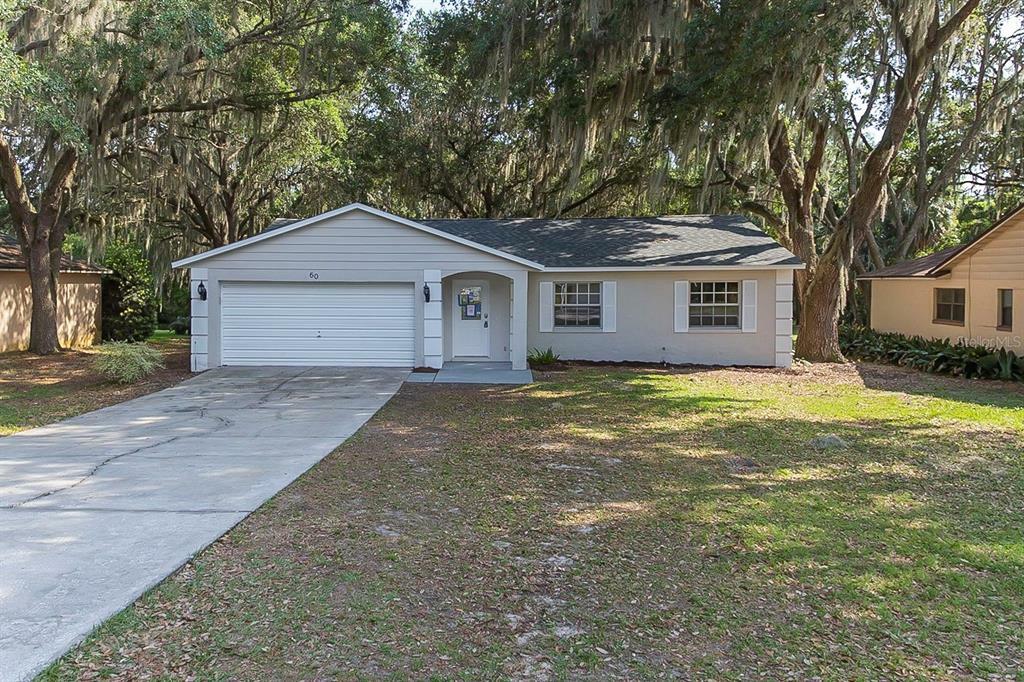 Property Photo:  60 Frosti Way  FL 32726 