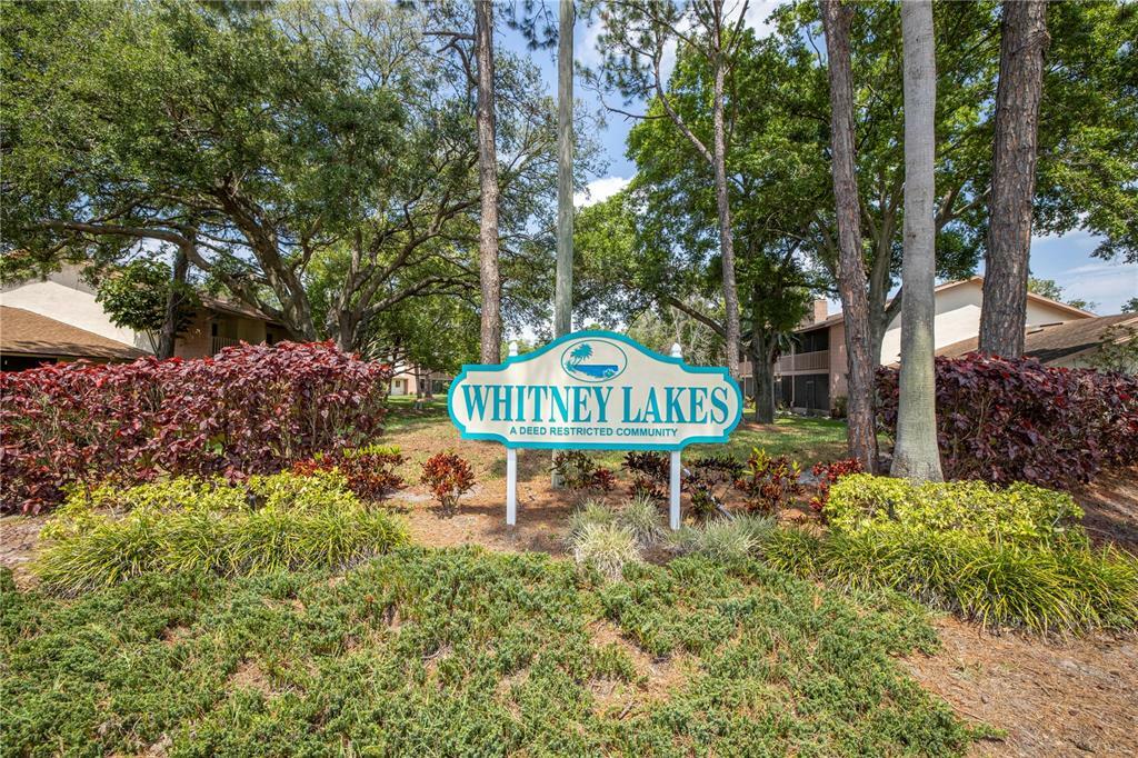 Property Photo:  1962 Whitney Way  FL 33760 