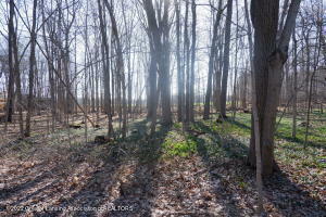 Property Photo:  Lot 17 Ramparte Path  MI 48842 