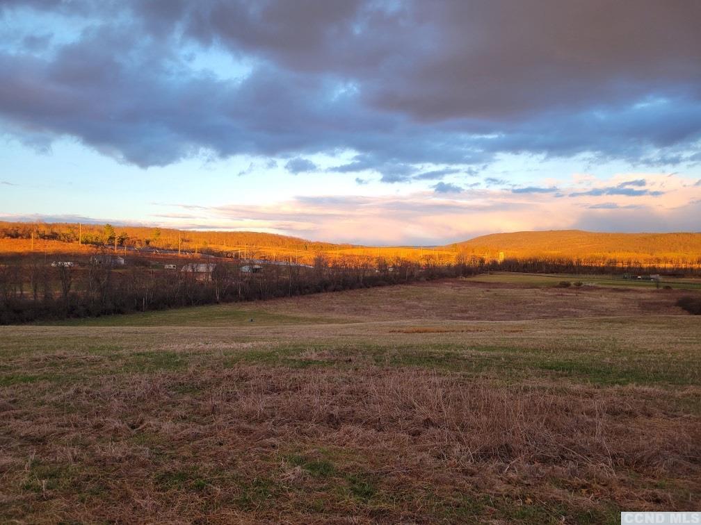 Property Photo: 0 Bloody Hill NY 12521
