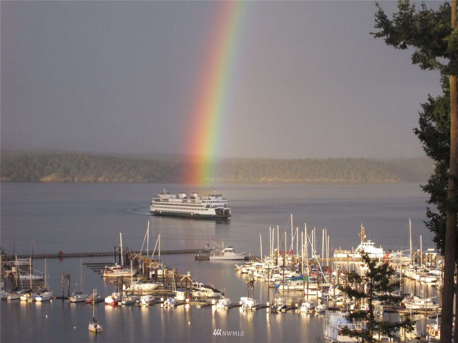 Property Photo:  510 Jensen Alley D  WA 98250 