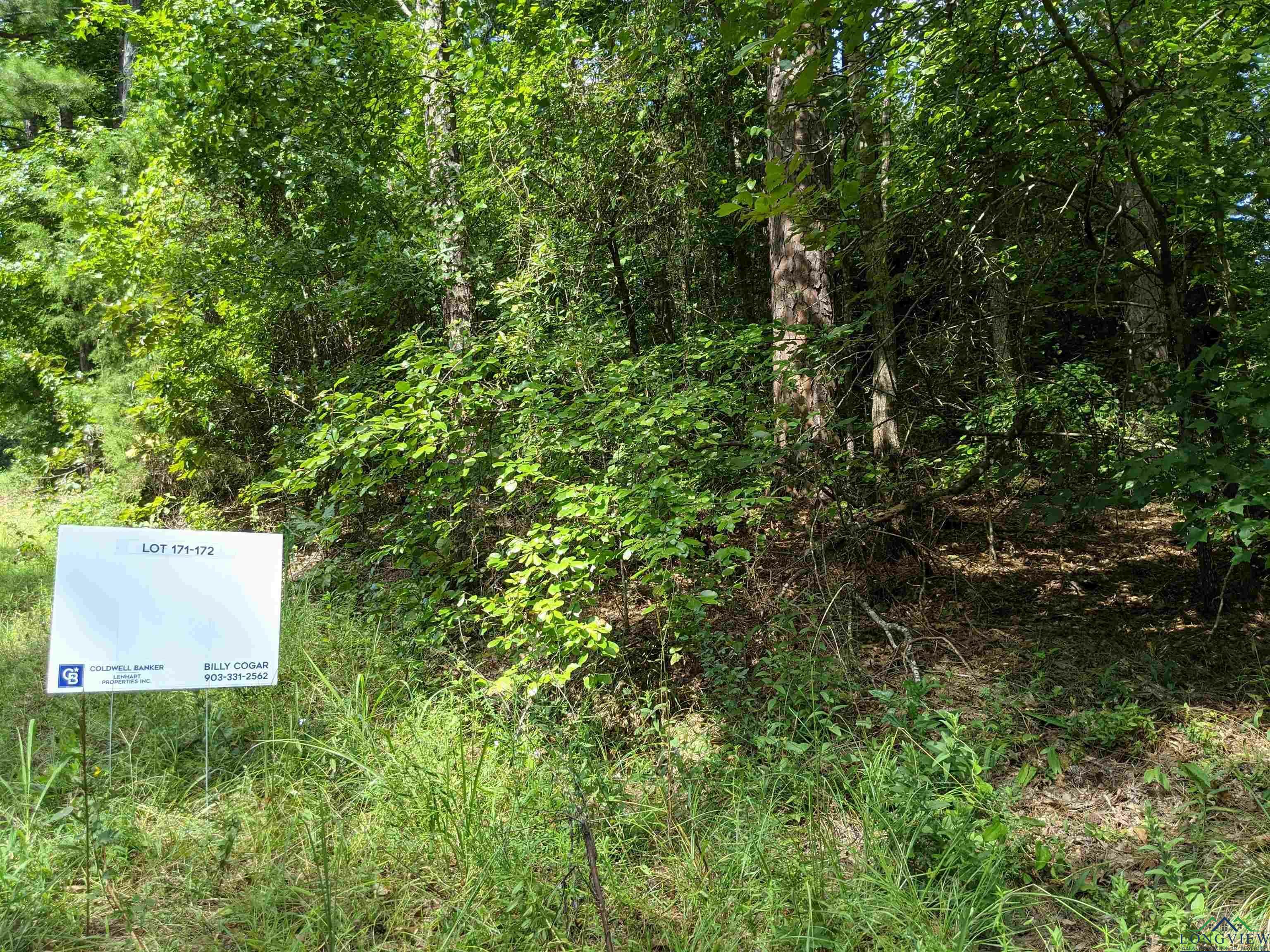 Property Photo:  Tbd Balboa Dr. Lot 171-172 Gold Coast Lot 171-172  TX 75657 