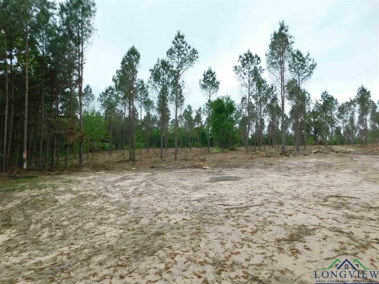 Property Photo: Tbd Falcon View Dr TX 75640