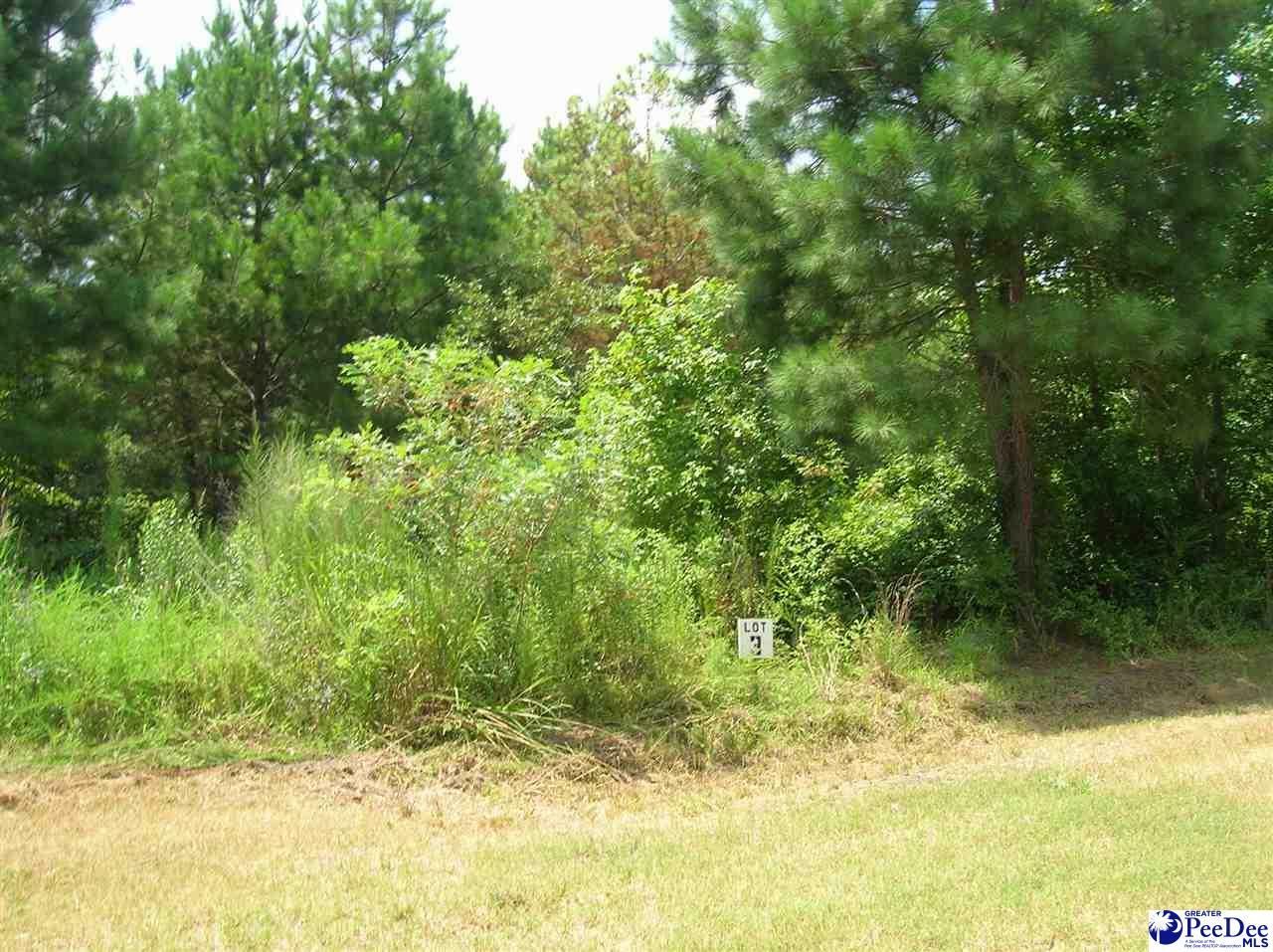 Property Photo:  Lot 3 Drake'S Nest Lane  SC 29532 