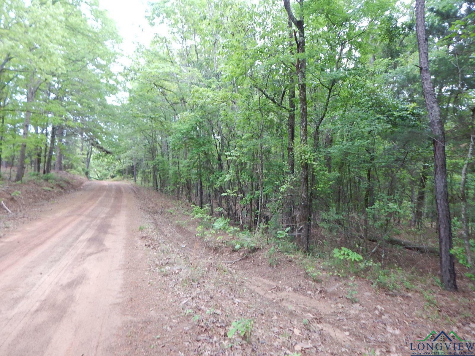 Property Photo:  Tbd Lot 1 Brown Rd.  TX 75630 