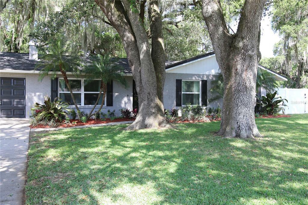 Property Photo:  124 Goins Drive  FL 33584 