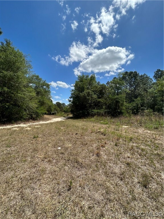 Property Photo:  1448 W Donner Drive  FL 34434 