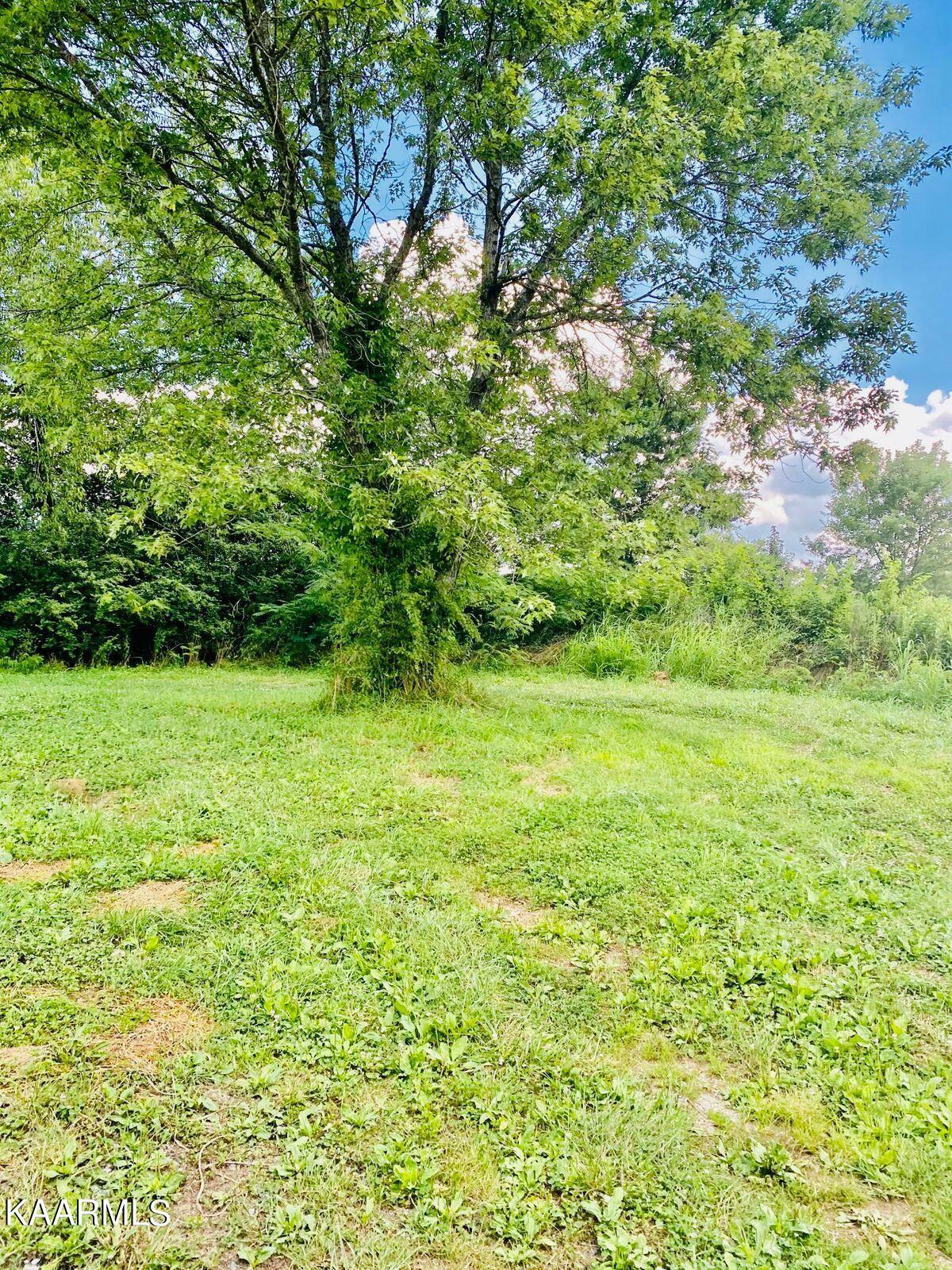 Property Photo:  200 Gibson Lane  TN 37870 