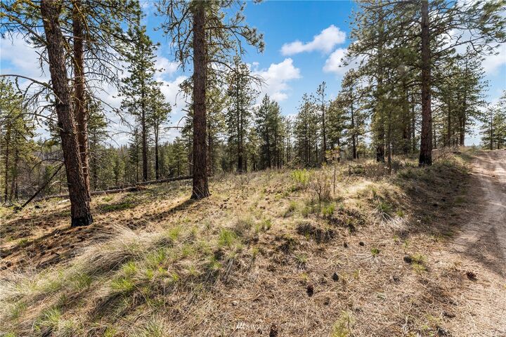 0 George Garton Road  Chelan WA 98816 photo