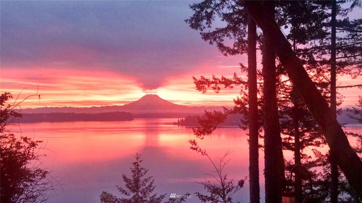 Property Photo: 201 E Tamarack Lane WA 98584