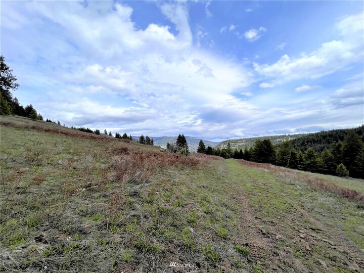 Property Photo:  0 Tbd Bamber Creek Road  WA 99118 
