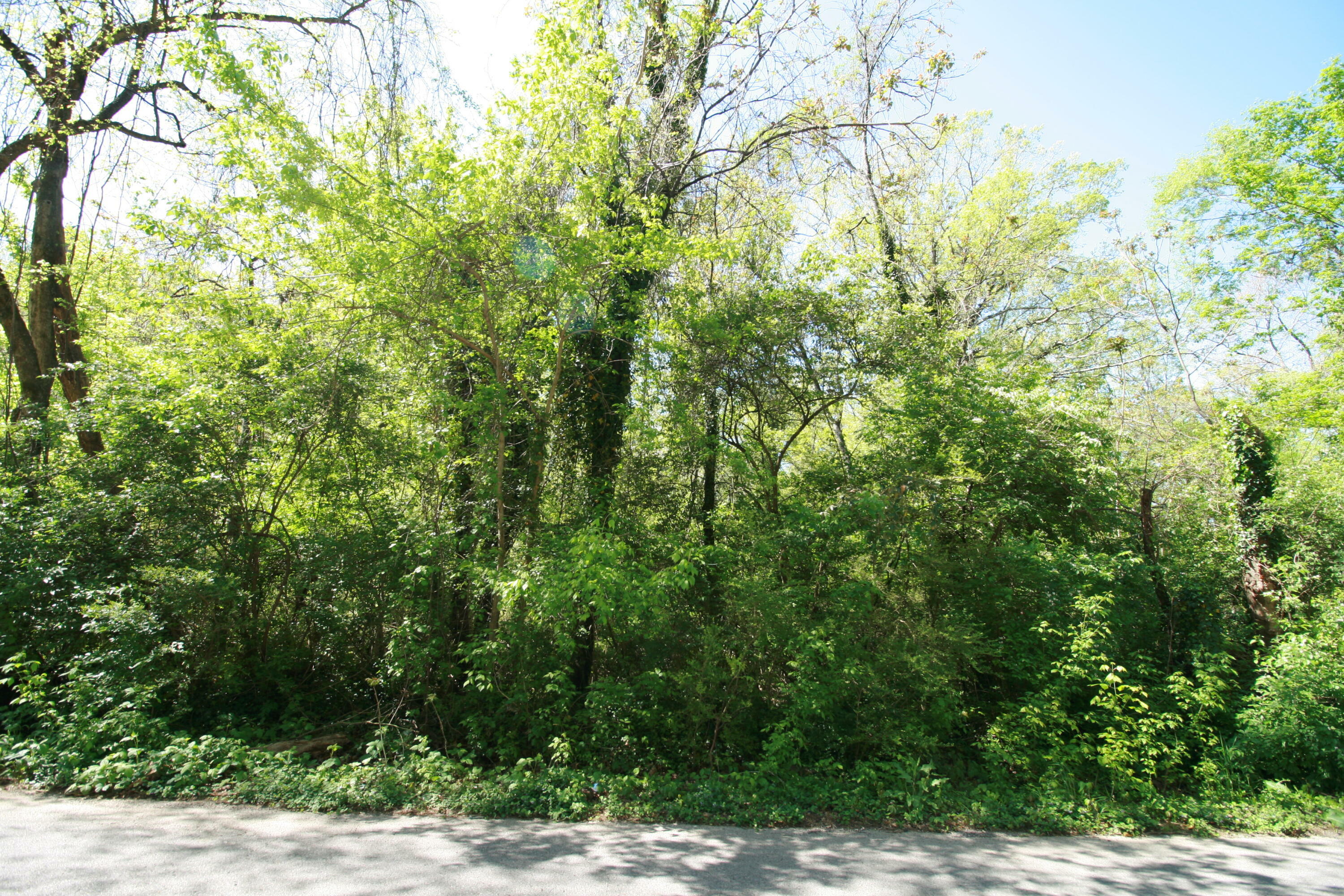 Property Photo: 0 Pinewood Avenue TN 37411