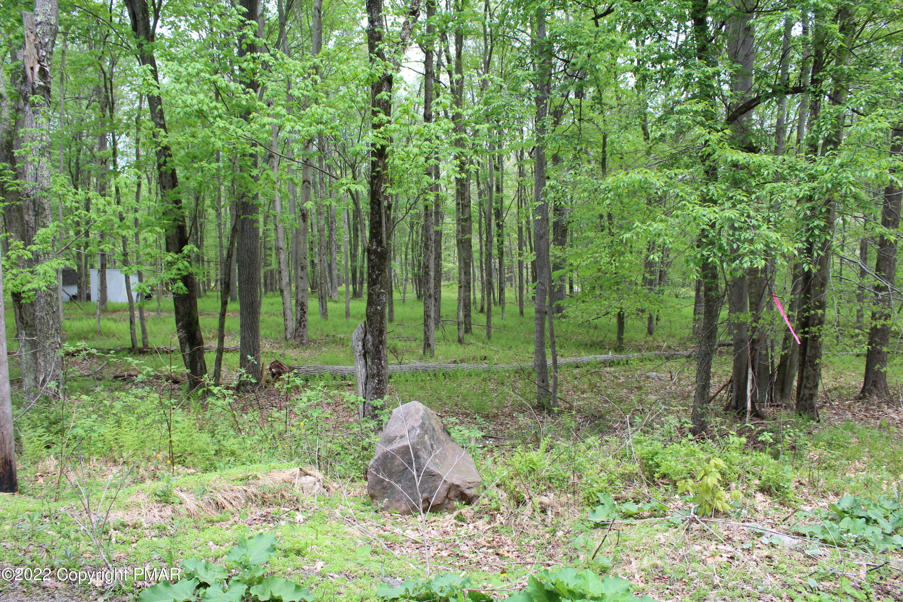 Property Photo: 175 Wolf Way Drive PA 18661