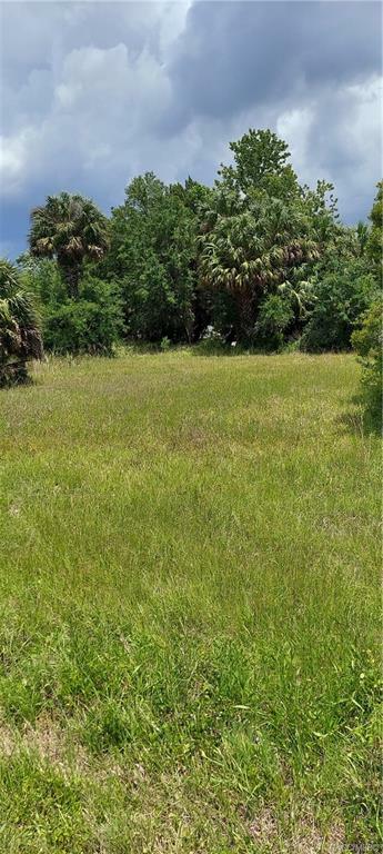 10933 W Fort Island Trail  Crystal River FL 34429 photo