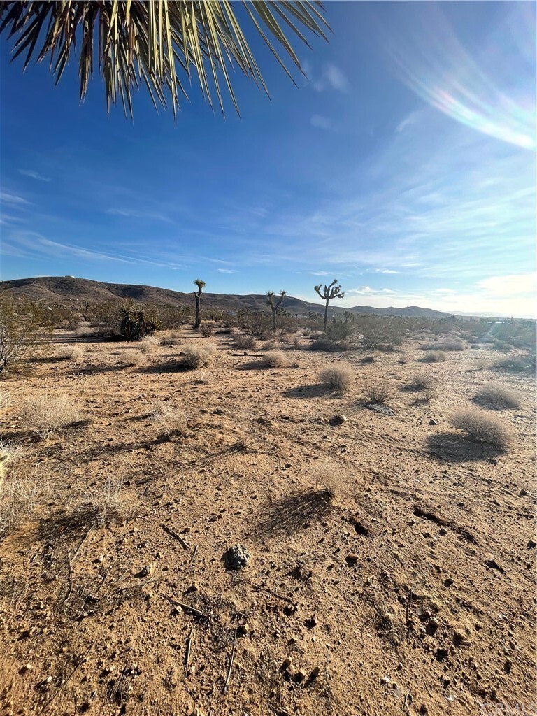 Property Photo:  0 Sunny Sands  CA 92284 