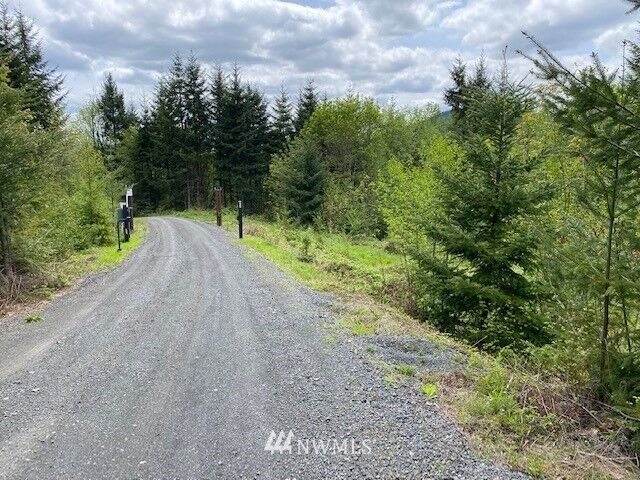 Property Photo: 0 Buckhorn Road WA 98596