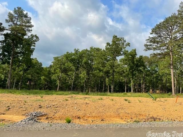 Orchard Hill Lot 4 Ph 3  Conway AR 72034 photo