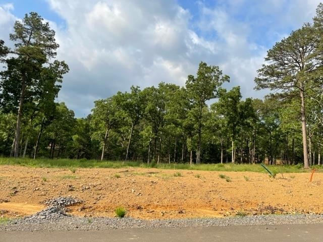 Property Photo:  Orchard Hill Lot 4 Ph 3  AR 72034 