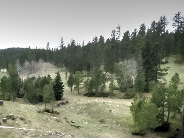 Property Photo:  Boles Canyon Road  SD 57754 