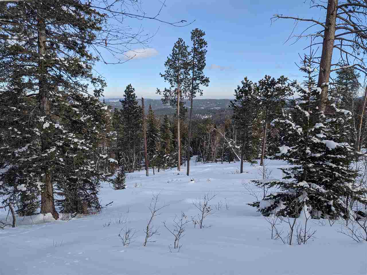 M.s. 1204 Terry Summit Road  Lead SD 57754 photo
