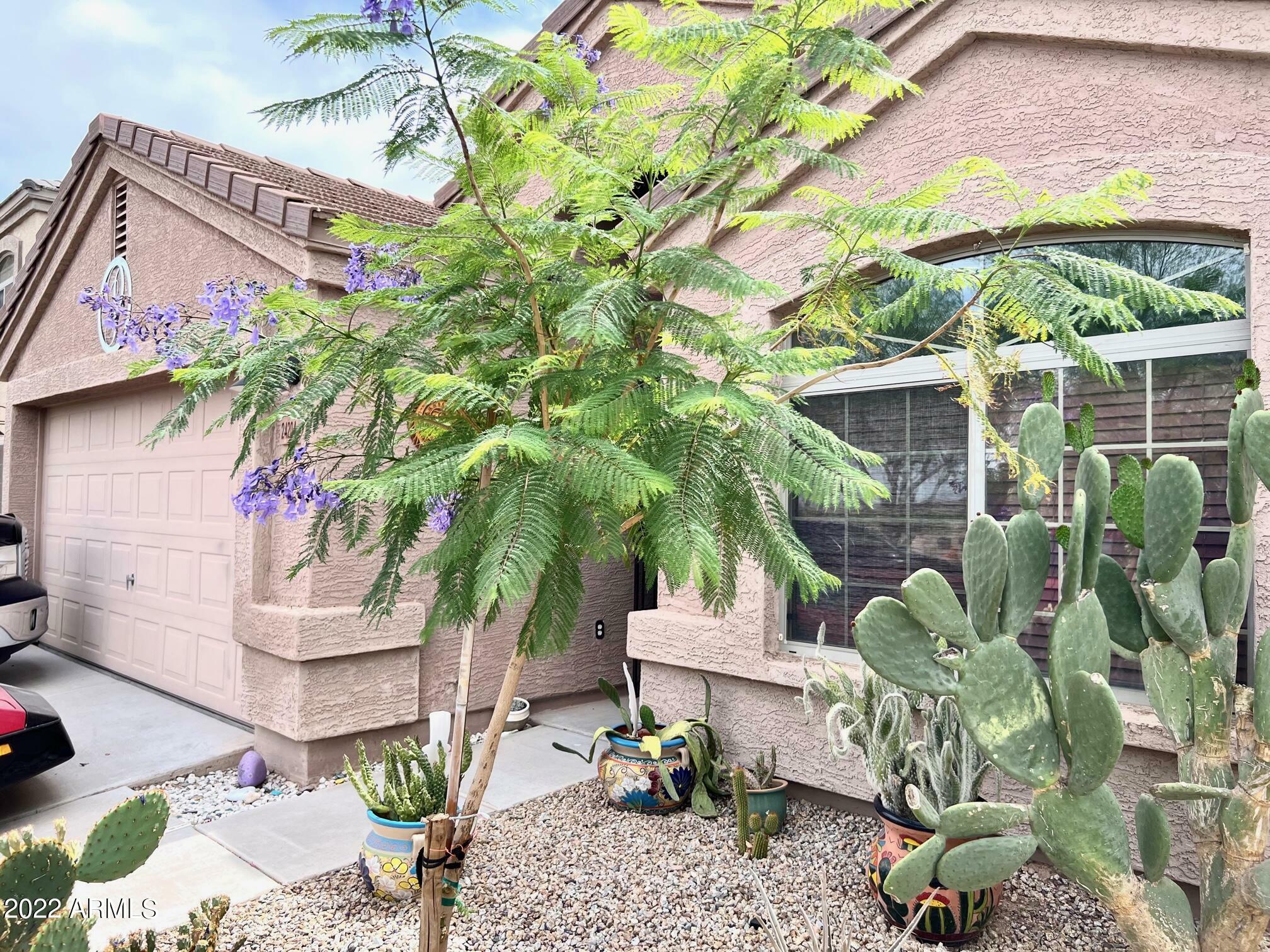 Property Photo:  24204 N High Dunes Drive  AZ 85132 