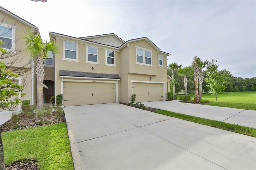 Property Photo:  14203 Damselfly Drive  FL 33625 