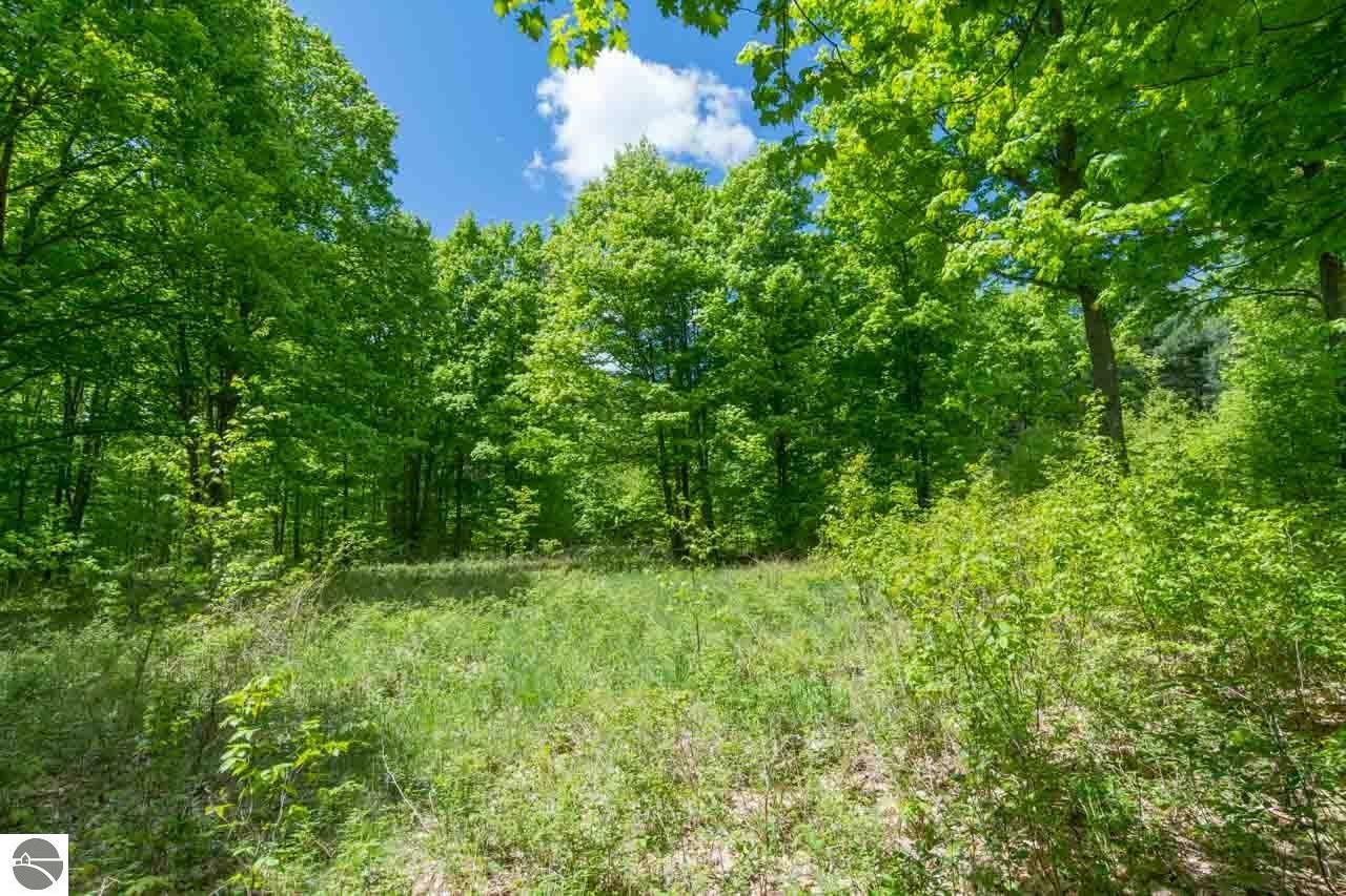 Property Photo:  Parcel 8 S Plowman Road  MI 49630 