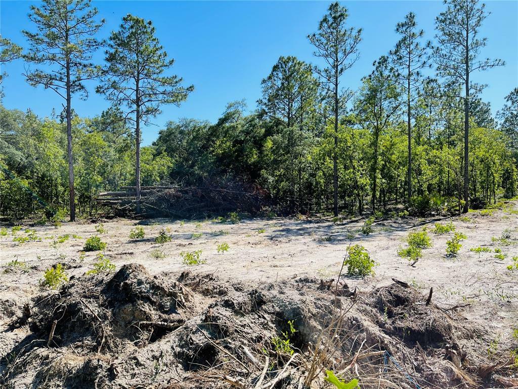 Property Photo:  Lot 4 SW 127th Avenue 1  FL 34432 