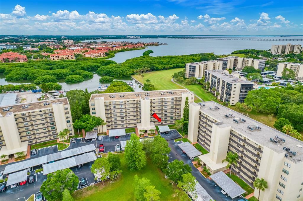 Property Photo: 900 Cove Cay Drive 2F FL 33760
