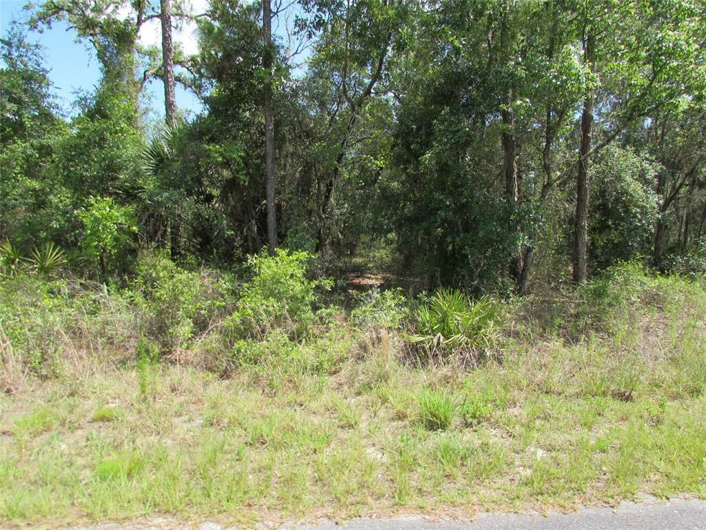 Property Photo:  0 SW Tiger Lake Boulevard W  FL 34431 