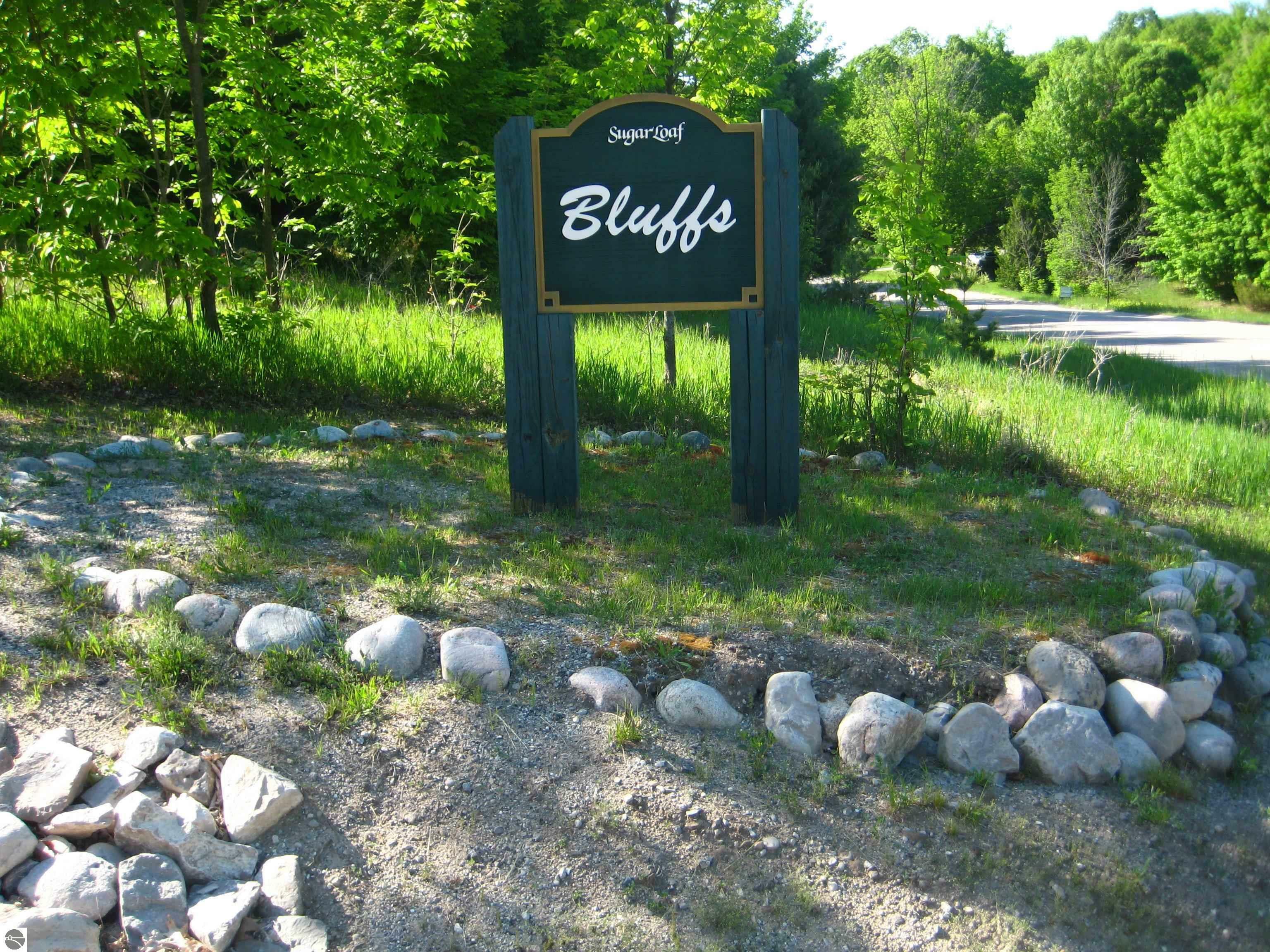 Property Photo:  Lot 16 S Bluff Lane  MI 49621 