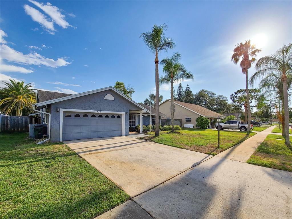 Property Photo:  2830 Witley Avenue  FL 34685 