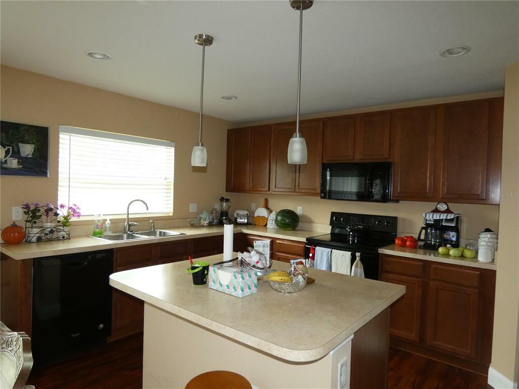 Property Photo: 5215 Butterfly Shell Drive FL 33572