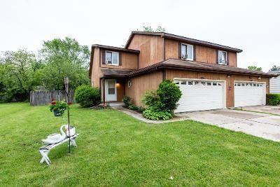 Property Photo:  38171 Loyola Avenue  IL 60087 