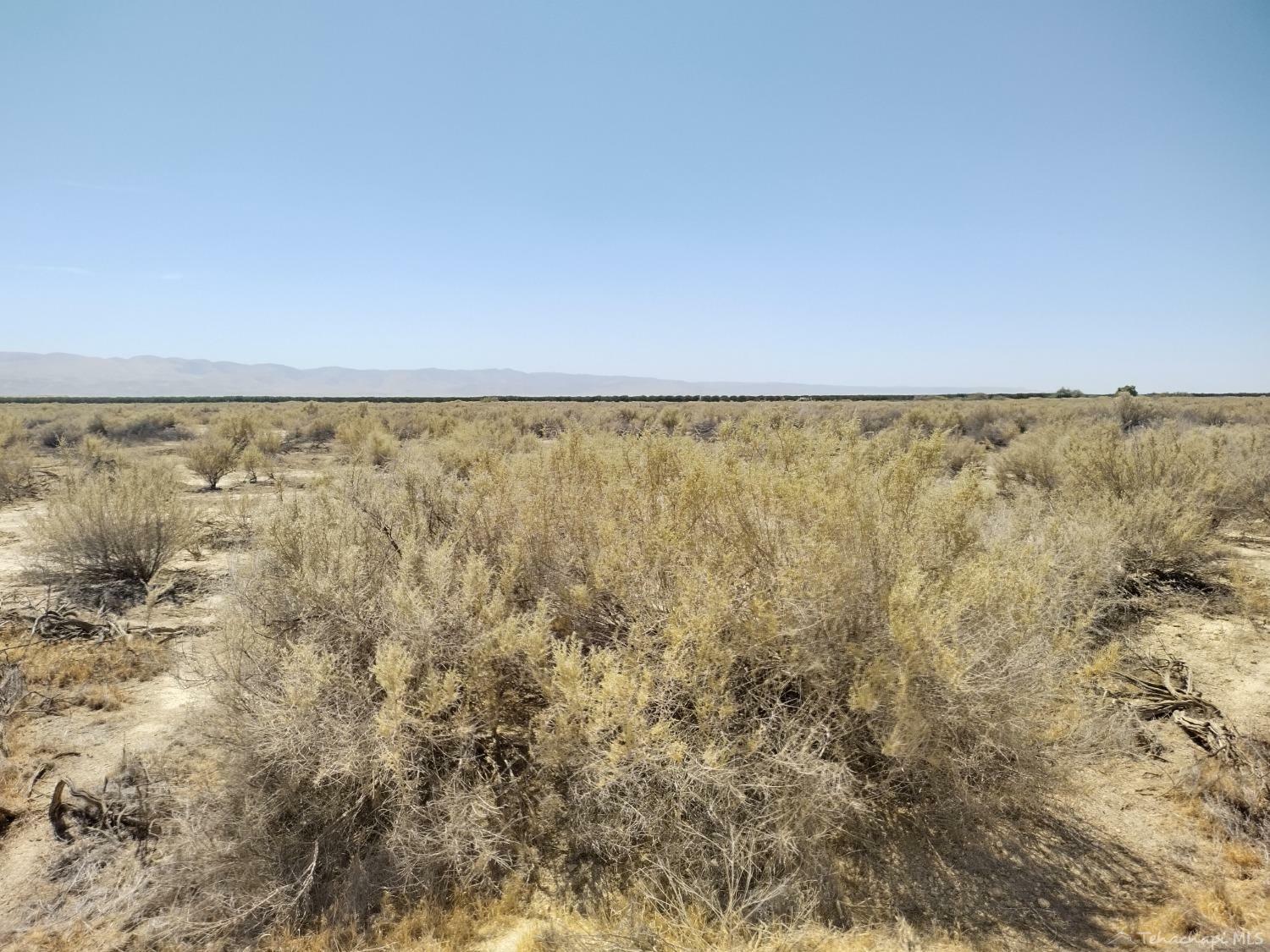 Property Photo:  0 Lokern Rd  CA 93206 