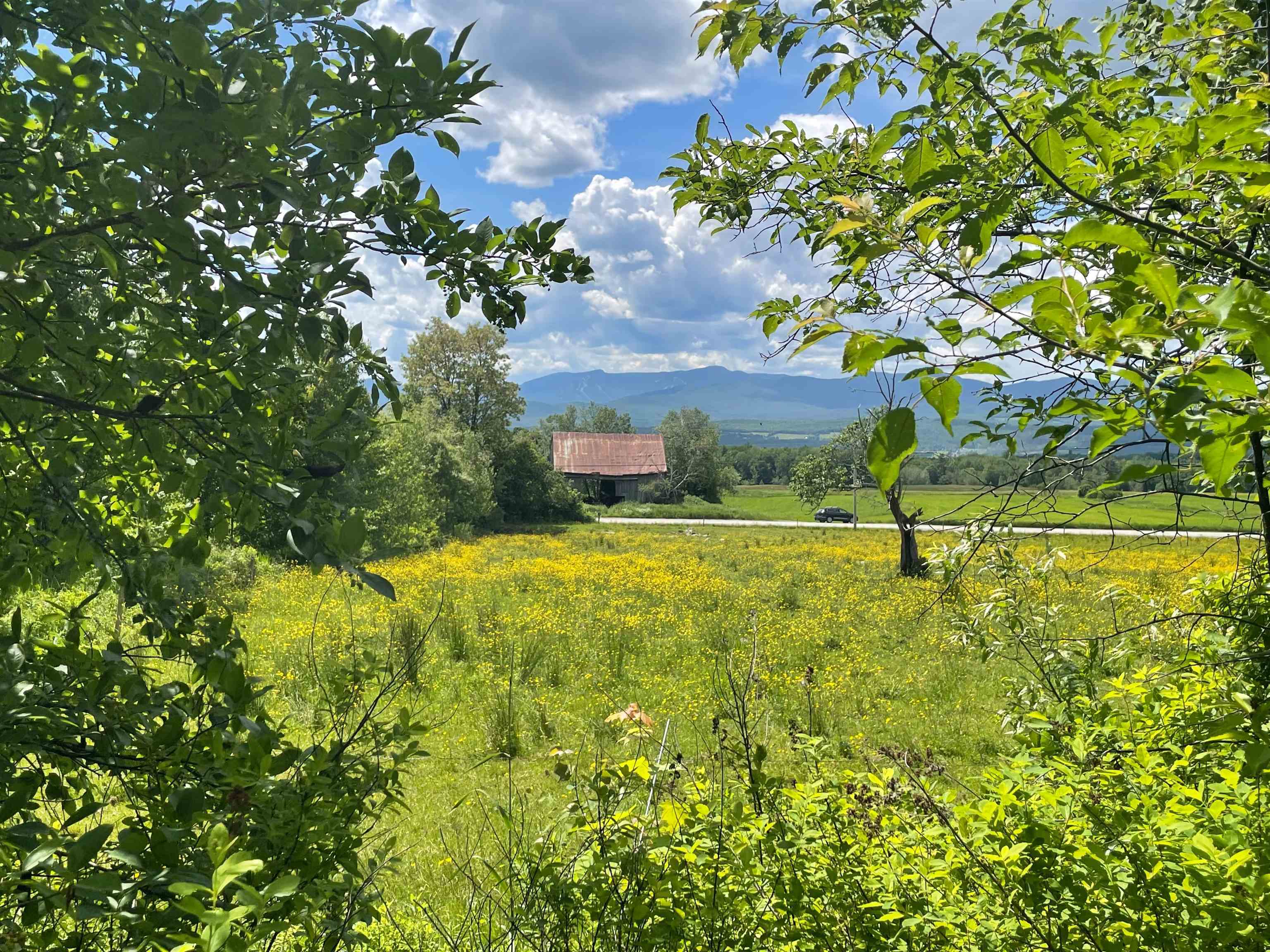Property Photo: 3029 Elmore Mountain Road VT 05661