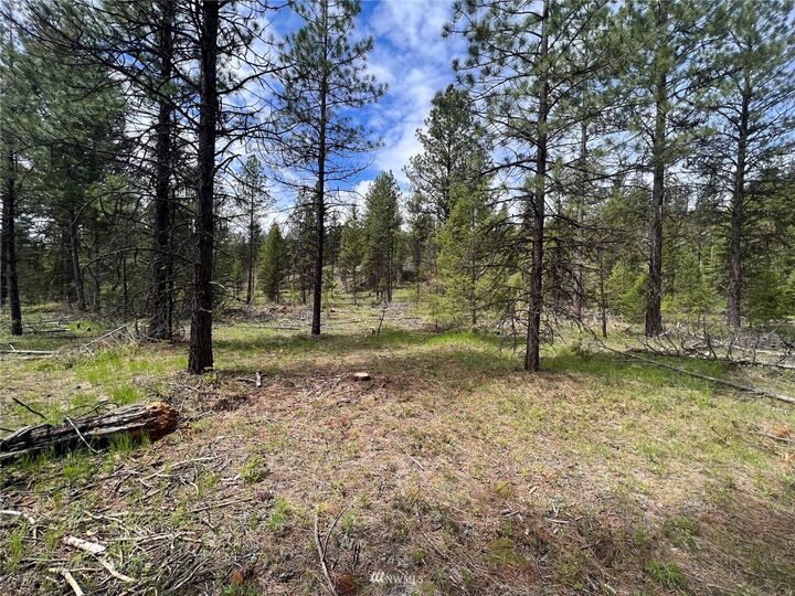 Property Photo:  0 Tbd White Tail Flats Road  WA 99166 