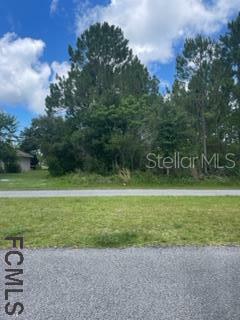 Property Photo:  32 Buffalo Meadow Lane  FL 32137 