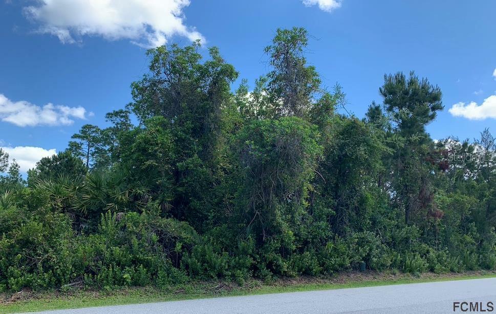 Property Photo: 35 Fernmill Lane FL 32137