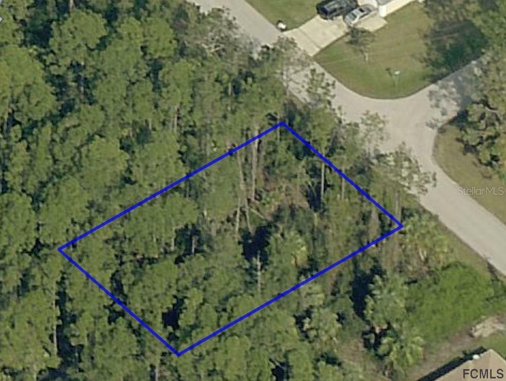 Property Photo:  40 Llama Trail  FL 32164 